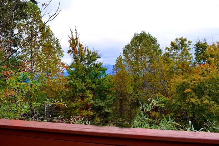 Lover'S Loft Gatlinburg Exteriör bild